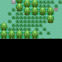 116番道路プ - ポケモン ルビー・サファイア・エメラルド攻略「ゲーム